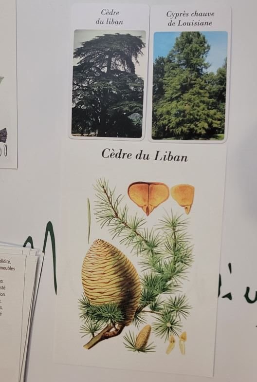mallette parc