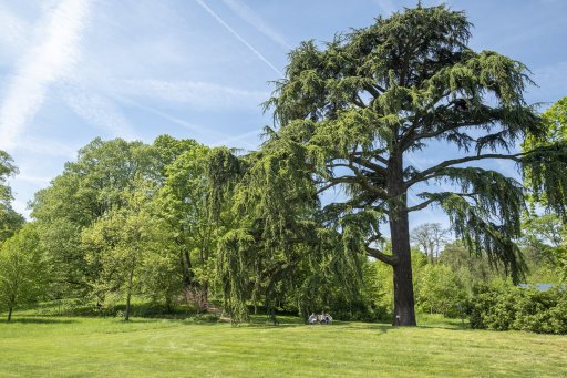 Le parc litt�raire