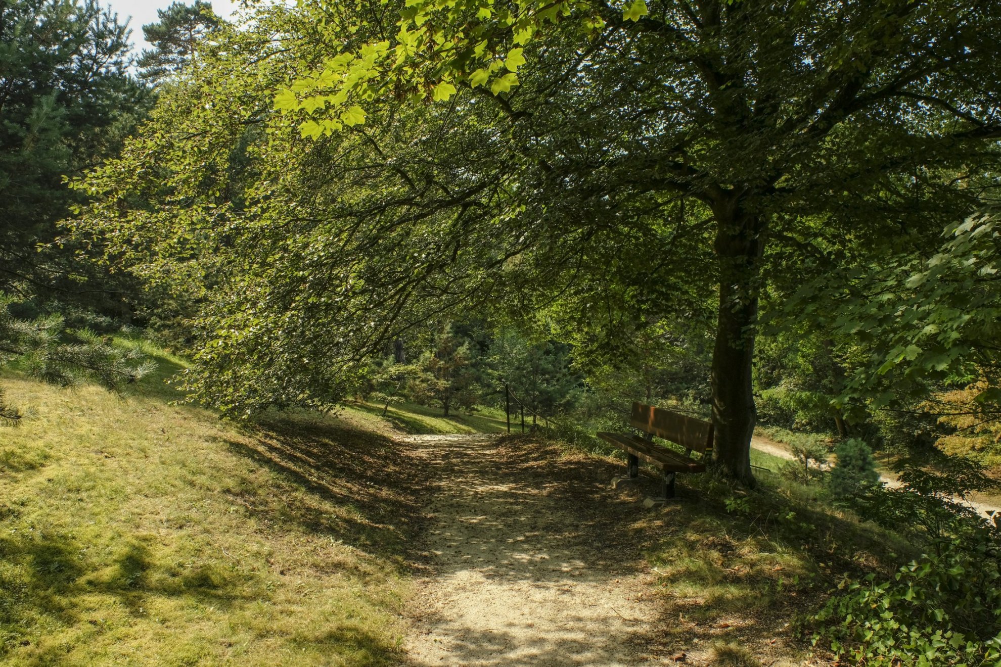 Parc Bois�