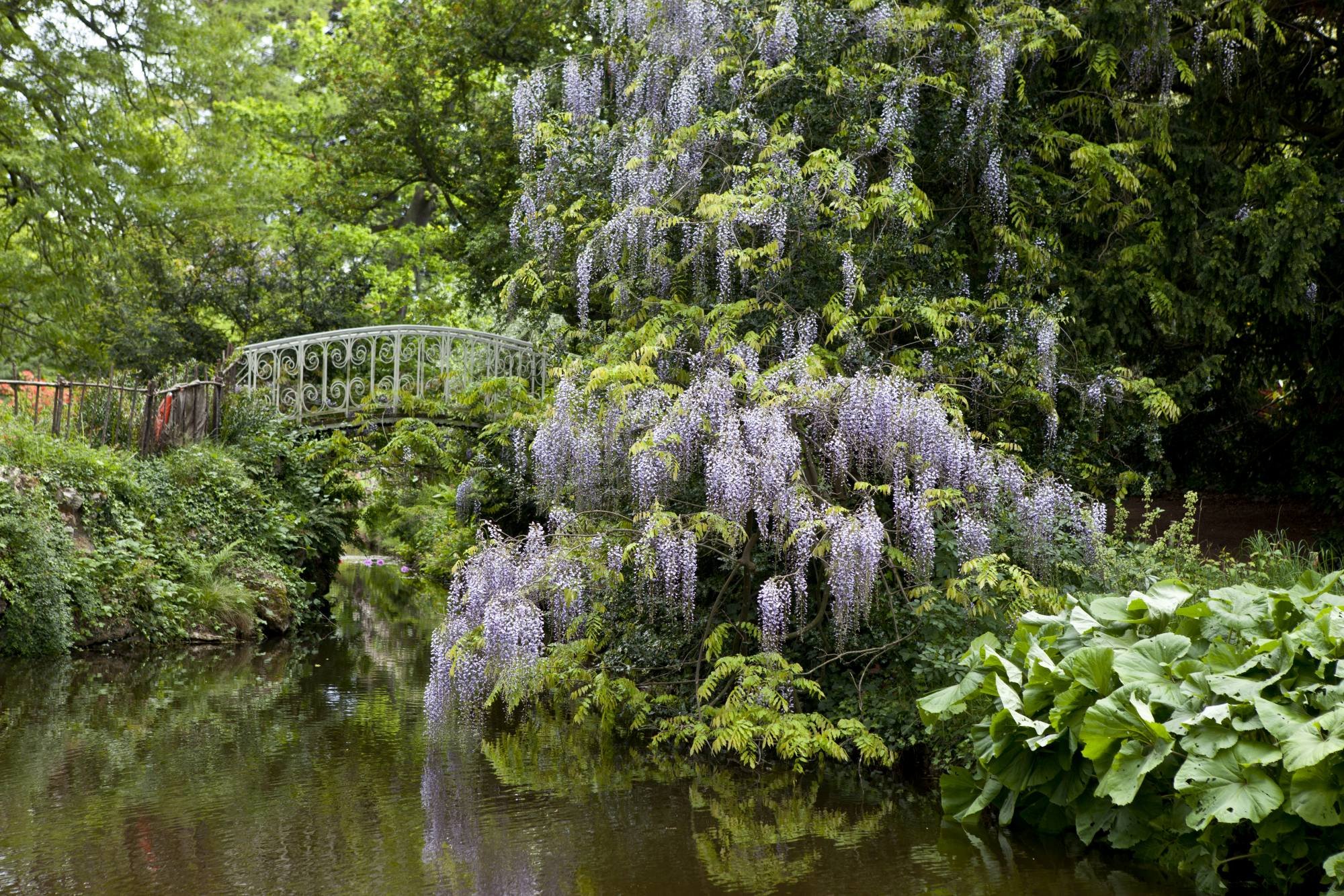 Arboretum