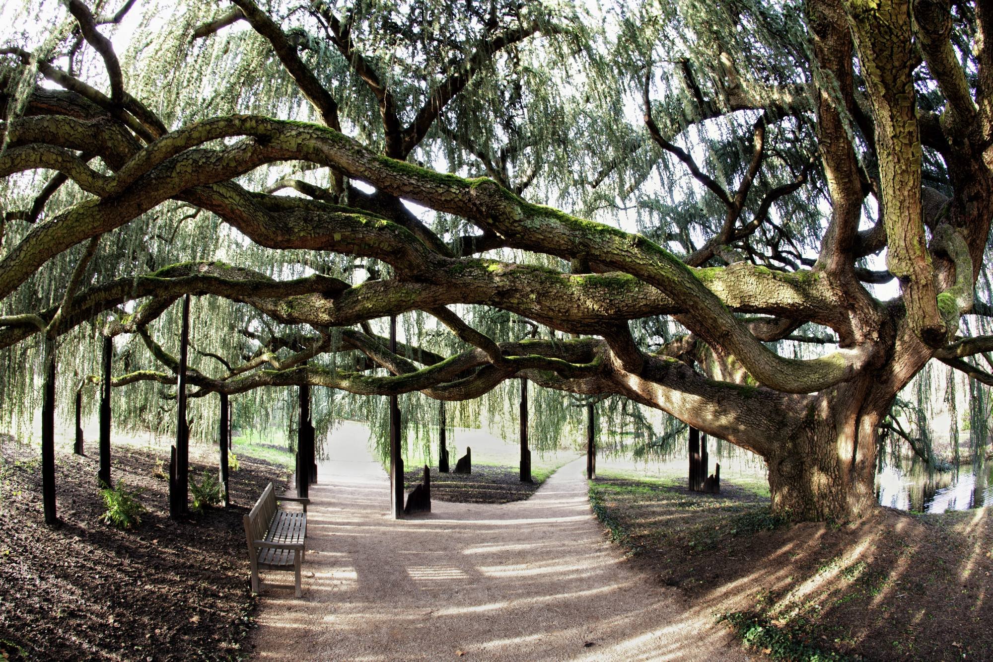 Arboretum