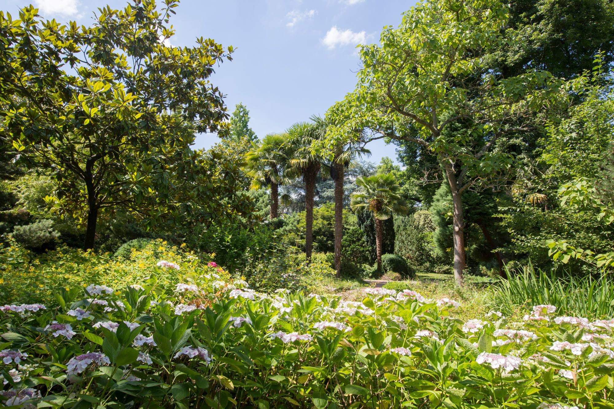 Arboretum