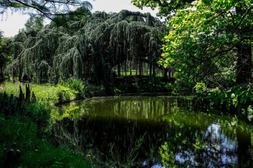 L'arboretum