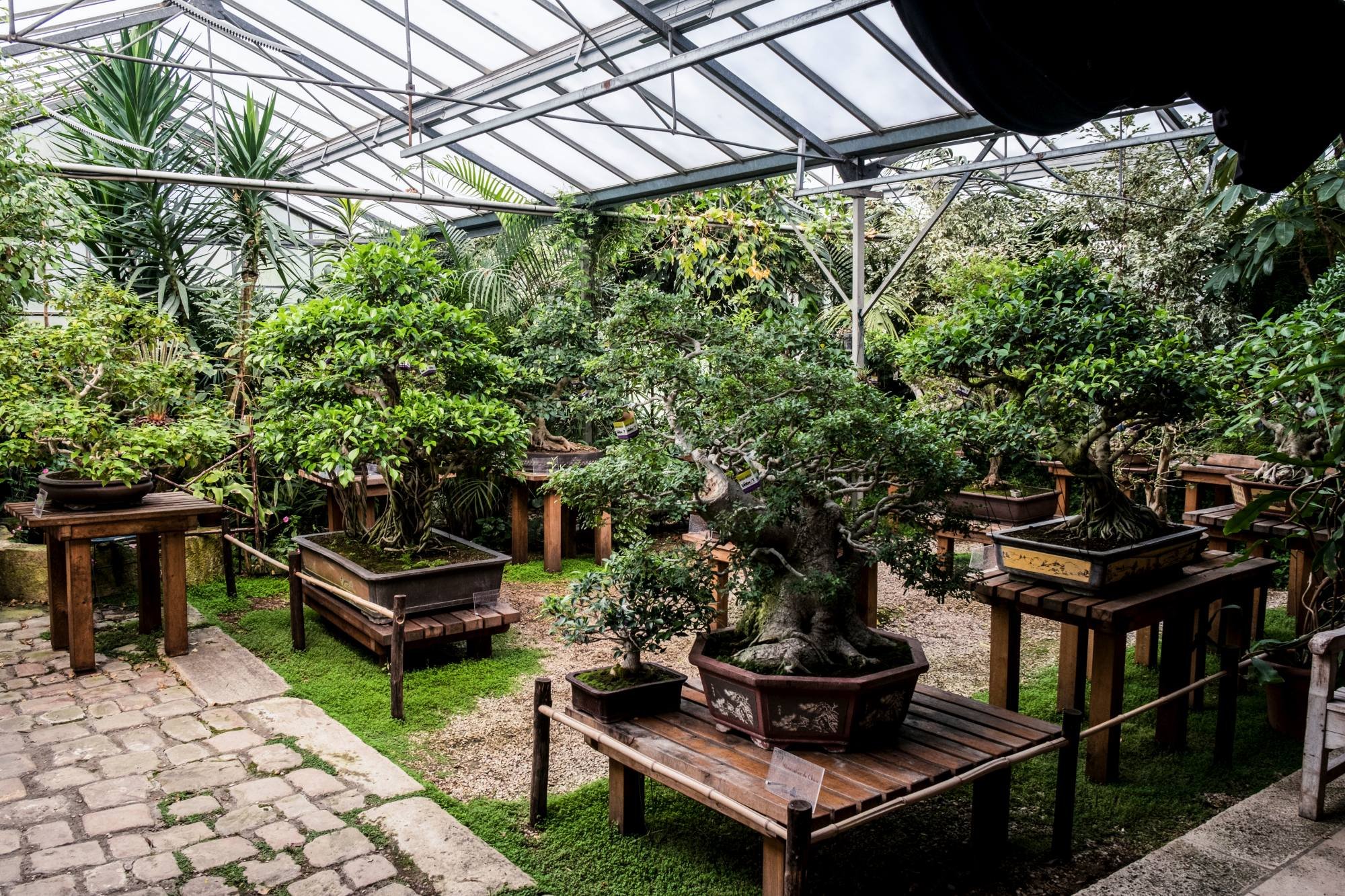 Arboretum