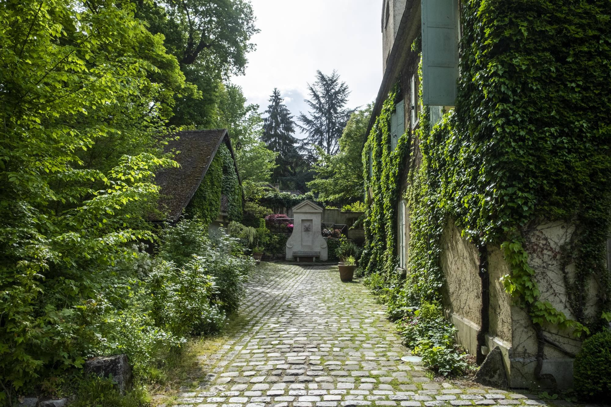 L'ile verte