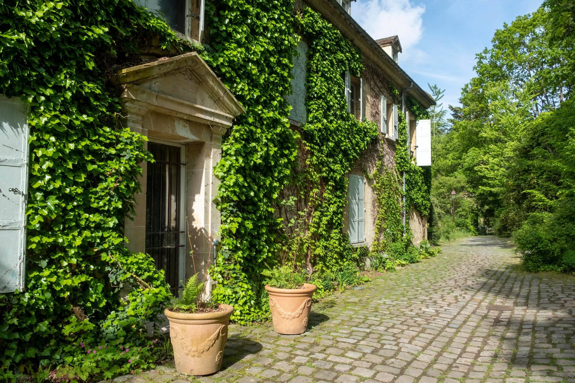 L'ile verte
