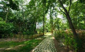 Le jardin de l'Aigle Blanc